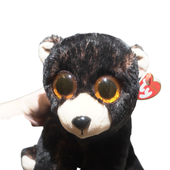 TY Medium Classic Plush KODI Kodiak Black Bear Medium 10" NEW Stuffed Animal Toy - Picture 14 of 16